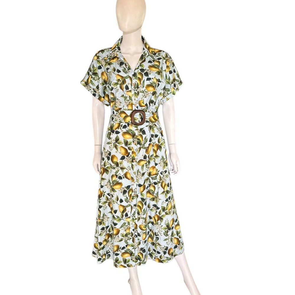 Zara Yellow & Green Lemon-Print Midi Shirtdress with Belt